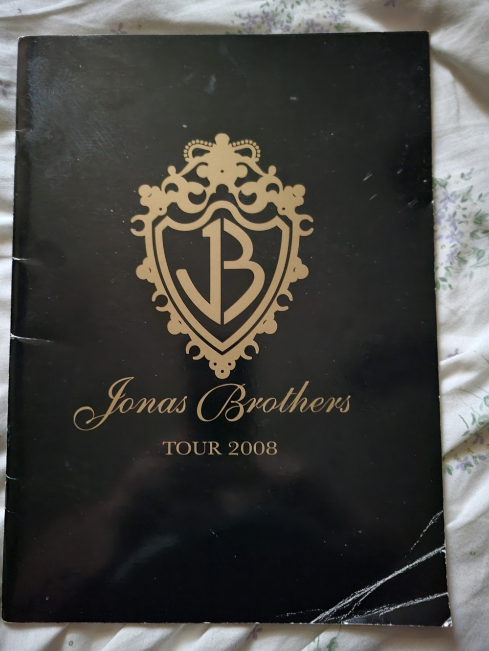 Jonas Brothers Look Me In The Eyes Conert Tour Book 2008